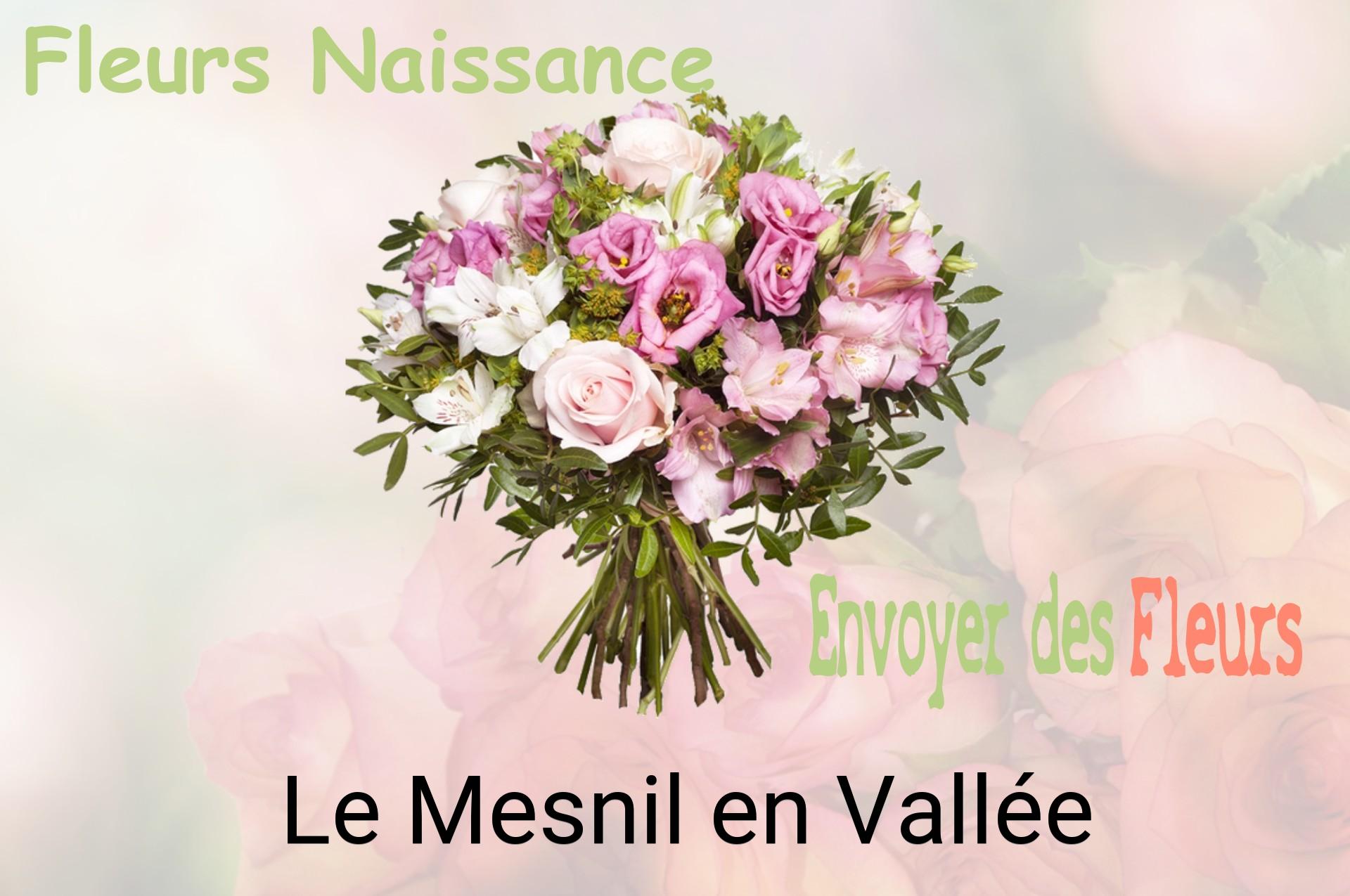 Bouquet de fleurs de naissance livré à Le Mesnil-en-Vallée