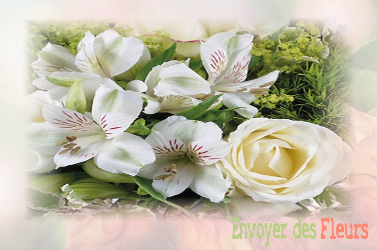 envoyer des fleurs à à LE-MESNIL-EN-VALLEE